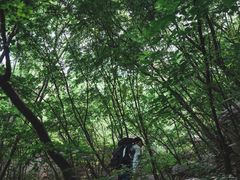 -北京密云天门山风景区