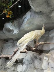 -Zoolung Zoolung动物主题公园(海信广场店)