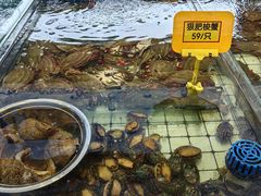 -大锅强·蒸海鲜青岛菜(金沙滩店)