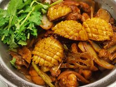 -禄婶鸡煲·打边炉