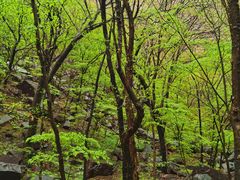 -苍岩山风景名胜区