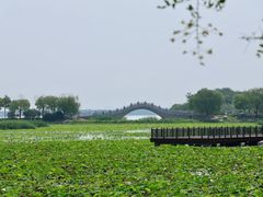 -天津东丽湖风景区