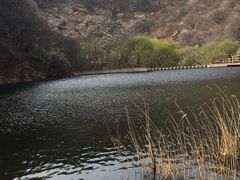 -少华山国家森林公园