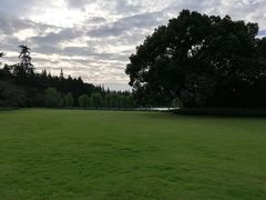 -西湖外事游船(花港观鱼码头)