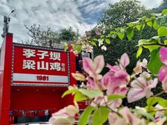 门面-李子坝梁山鸡(李子坝大鸡哥店)