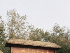 -西青郊野公园