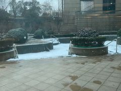 -济南喜来登酒店