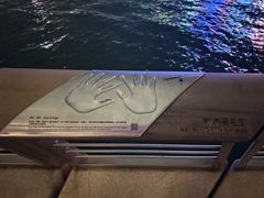 -星光大道