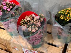 -盒马鲜生(宝地店)