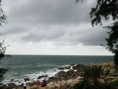 -广东惠东海龟国家级自然保护区