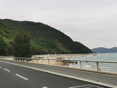 -杨梅坑