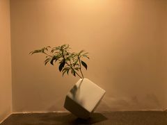 -梅间堂茶馆(绿地缤纷城店)