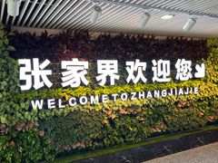 -张家界荷花国际机场