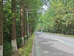 -黄海国家森林公园