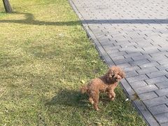 -唐城墙遗址公园