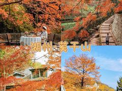 -莫干山风景区