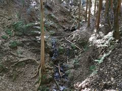 -岚山猴子公园