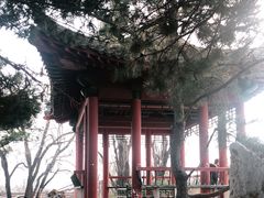 -国家植物园南园