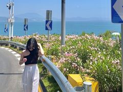 -玫瑰海岸文化旅游度假区