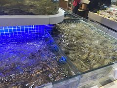 -大众海鲜(巨龙北路店)