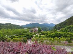 -阿依河景区