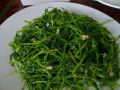 android_upload_pic-苍洱春饭店