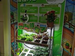 -艾克瑞特AI机器人·少儿编程·STEAM教育(万达校区)