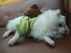 -伽利略剧本探案馆(国贸店)