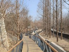 -白水寺森林公园