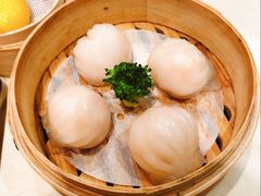 -丰圆轩粤式茶楼(大宁国际商业广场店)