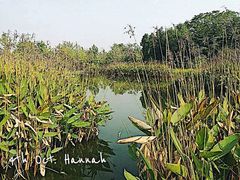 -白鹭湾湿地公园