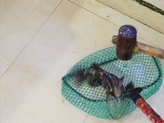 -鑫鸿达·海鲜闽菜热炒小馆(中山路店)