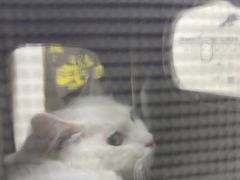 -美联众合动物医院·24h转诊中心