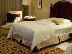 -广州富力丽思卡尔顿酒店