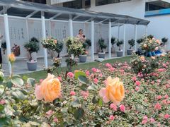 -人民公园(罗湖区)