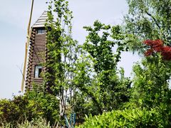 -昆山城市生态森林公园