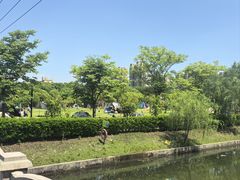 -菊园百果园