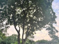 -上海鲁迅故居