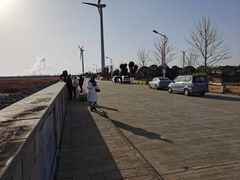 -碧海金沙
