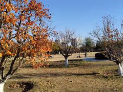 -太阳宫公园