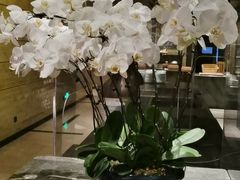 -长沙君悦酒店·自助餐厅咖啡厅