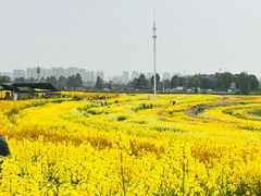 -三圣花乡旅游区