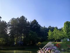 -铁山坪森林公园