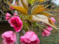 -白塘生态植物园