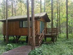 -黄海国家森林公园