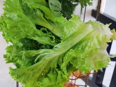 -蘑统田下·野生菌火锅