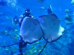 -横店影视城梦幻谷园区