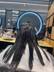 -藤野造型