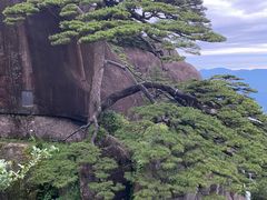 -黄山玉屏楼宾馆餐厅