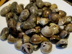 -金陵江南大饭店